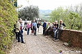 VBS_7376 - Mostra 'Albissola-Monteu Roero. Collezione piatti d'arte e antichi vasi da farmacia